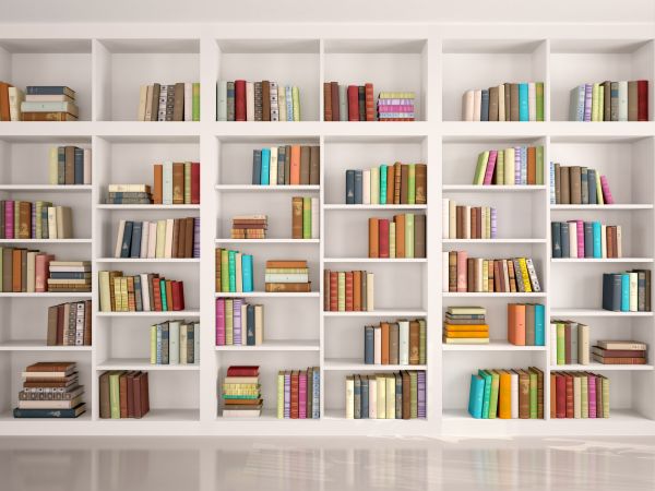 Bookshelf Assembly in Lake Zurich
