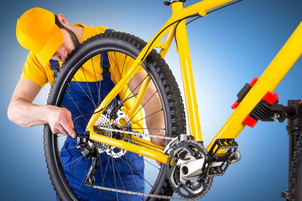 Bike Assembly in Lake Zurich