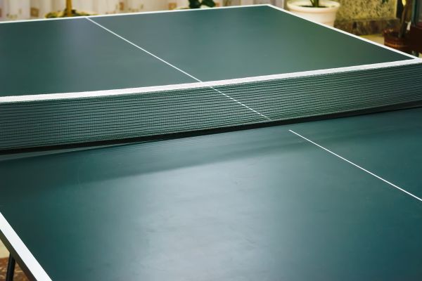 Ping Pong Table Assembly in Lake Zurich
